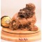 Παγωτό Ferrero Rocher